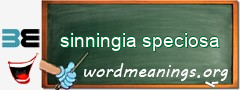 WordMeaning blackboard for sinningia speciosa